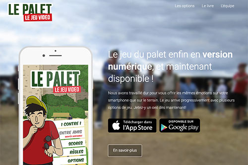 Le palet, le jeu vidéo